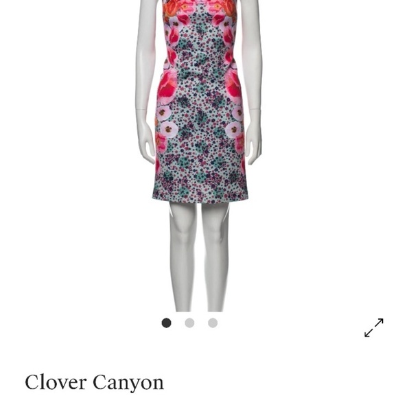 Clover Canyon Floral Scuba Shift Dress Poppy Blossoms Pink Multi Small - Picture 4 of 13